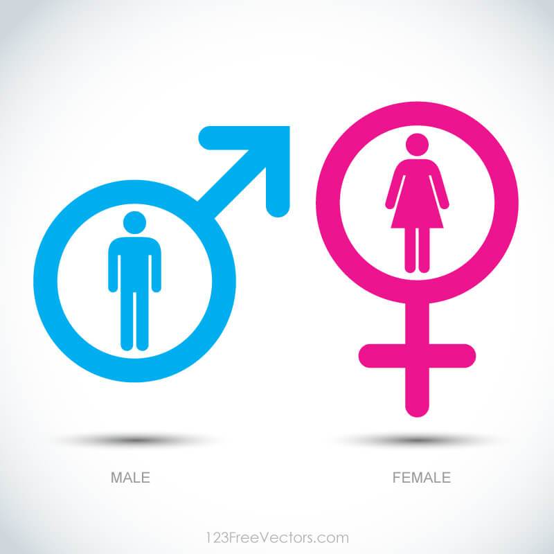 Male And Female Icon at Vectorified.com | Collection of Male And Female ...