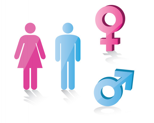 626x500 Male And Female Symbol Vector Premium Download