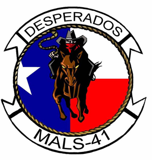 300x315 Marine Aviation Logistics Squadron