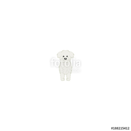 500x500 Maltese Cartoon Dog Icon Stock Image And Royalty Free Vector