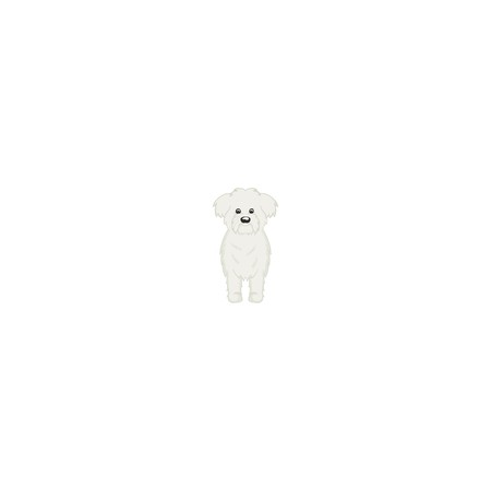 450x450 Maltese Cartoon Dog Icon Isolated On White Background Royalty