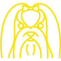 256x256 Free Yellow Maltese Icon