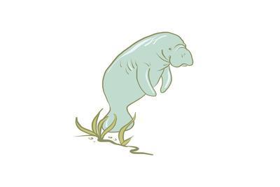 400x267 Manatee