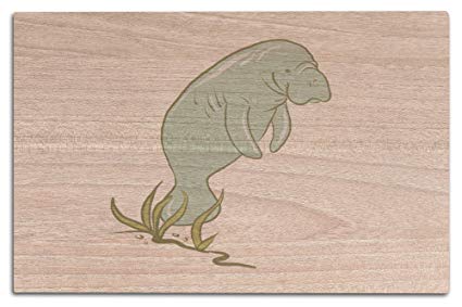 425x283 Lantern Press Manatee