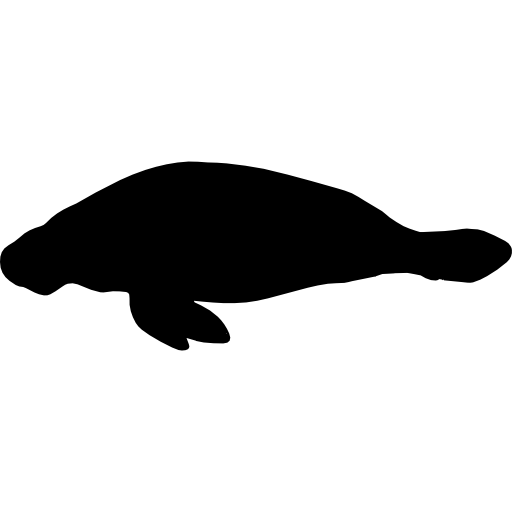 512x512 Manatee Shape Icons Free Download