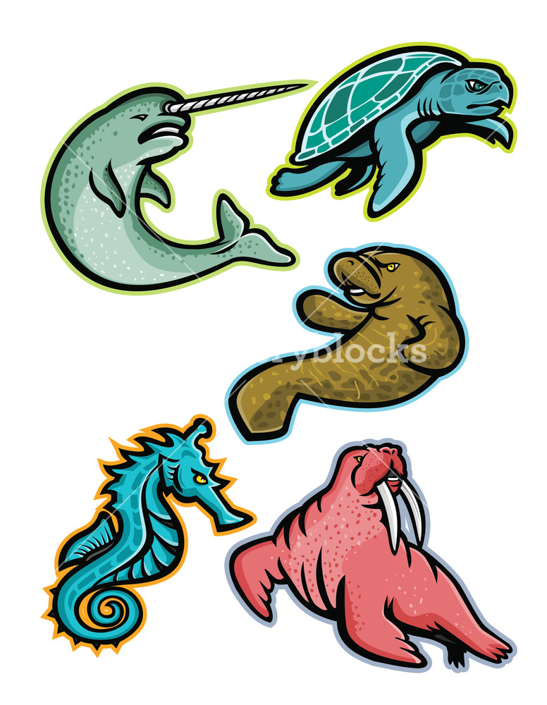 776x1000 Mascot Icon Illustration Set Of Aquatic Animals And Marine Mammals