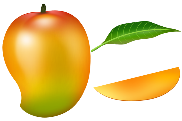 600x400 Mango Fruit Icon