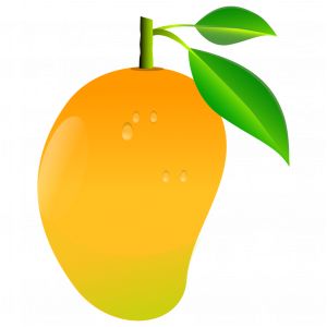 300x300 Mango Transparent Png Image Web Icons Png