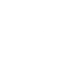256x256 White Mango Icon