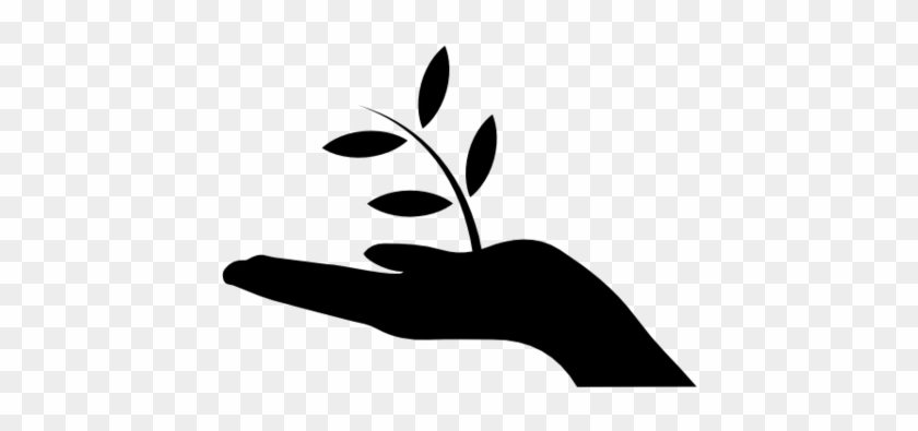 840x395 We Use Only Natural Ingredients In The Manufacturing