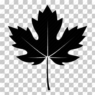 310x310 Maple Leaf Icon Png Cliparts For Free Download Uihere