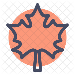 256x256 Maple Icon Of Line Style