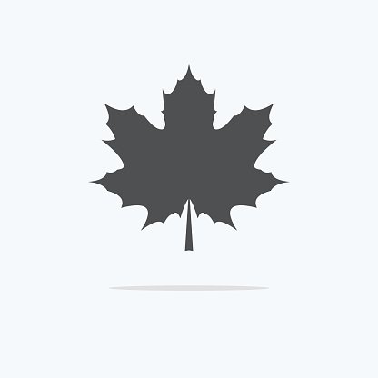416x416 Maple Silhouette Of The Maple Icon Of A Maple Vector Premium