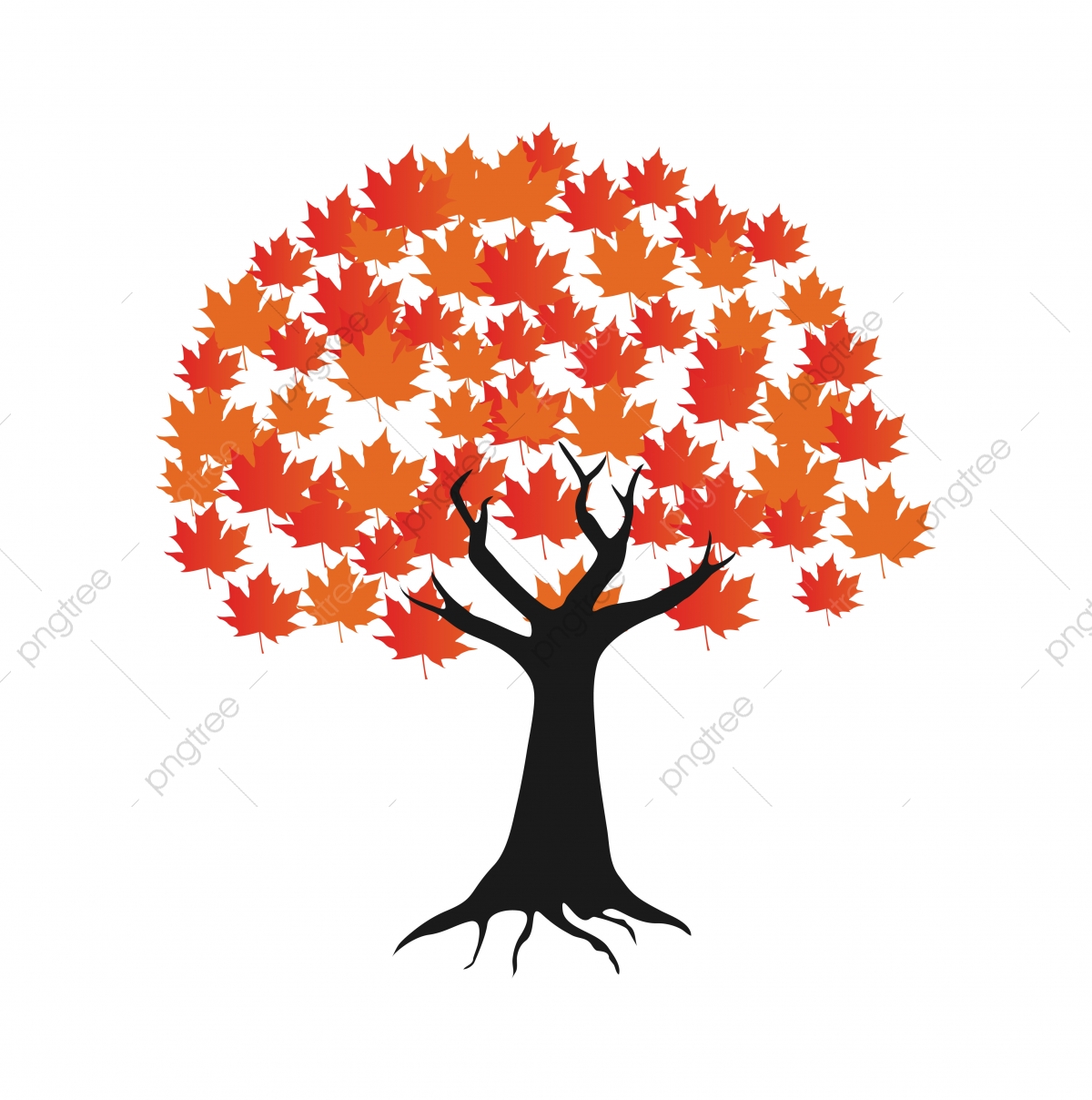 1200x1208 Maple Tree Logo Icon Design Template Vector, Maple, Leaf, Tree Png