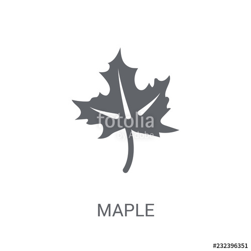 500x500 Maple Icon Trendy Maple Logo Concept On White Background