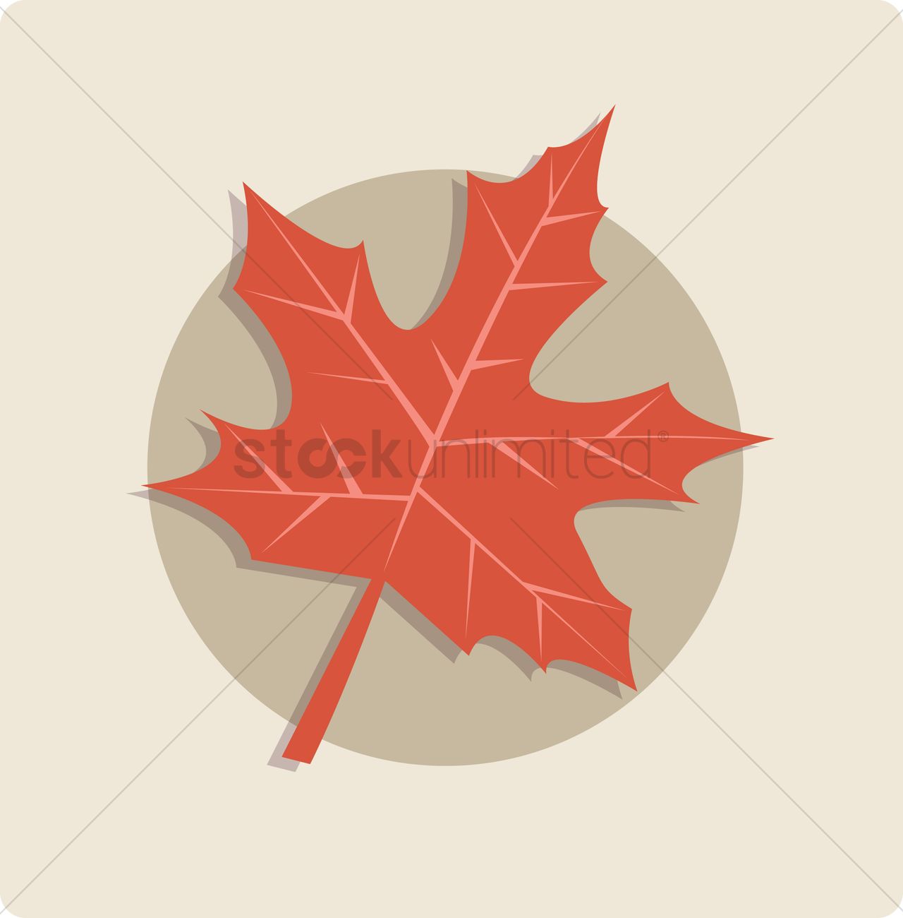 1280x1300 Maple Leaf Icon Vector Image