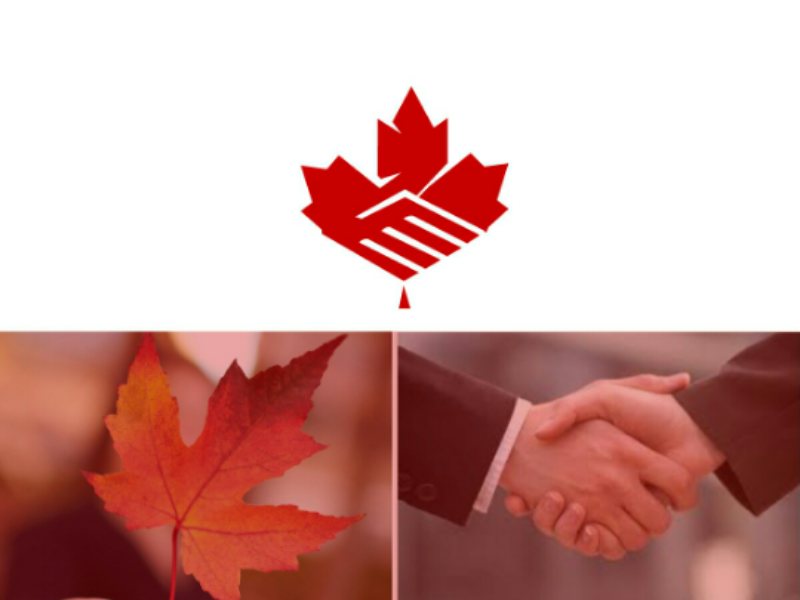 800x600 Maple Leaf Icon