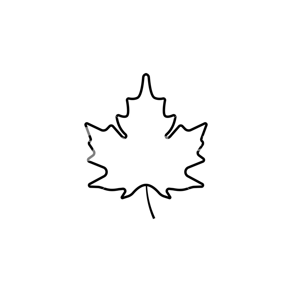 1000x1000 Maple Leaf Icon Vector Illustration Royalty Free Stock Image