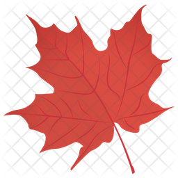 256x256 Red Maple Icon Of Flat Style