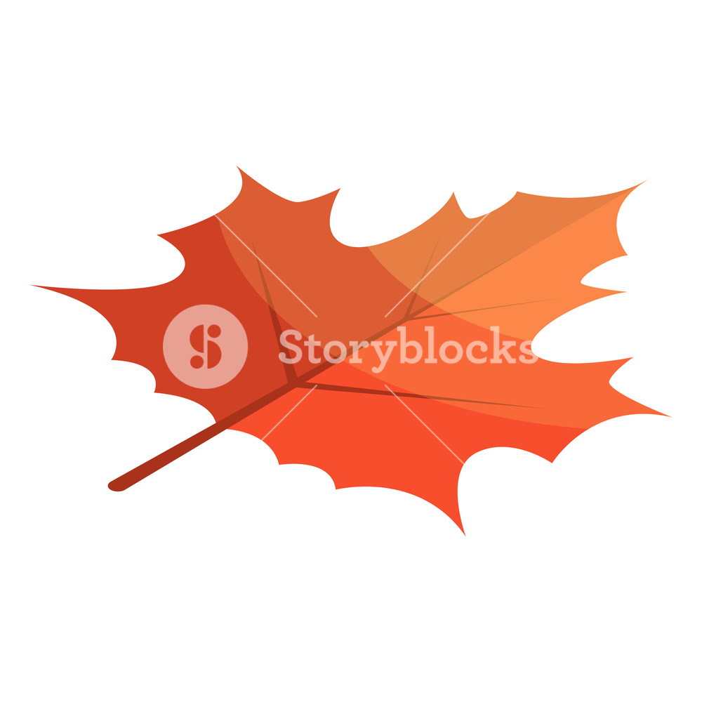 1000x1000 Red Maple Leaf Icon Isometric Of Red Maple Leaf Vector Icon
