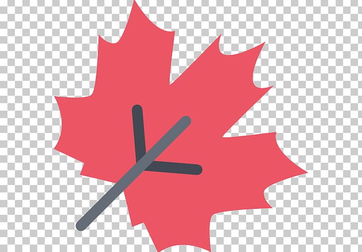 728x508 Computer Icons Maple Leaf Png, Clipart, Computer Icons, Flower