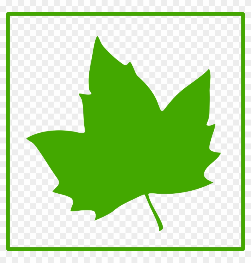 840x880 Green Leaf Icon Clip Art At Clker