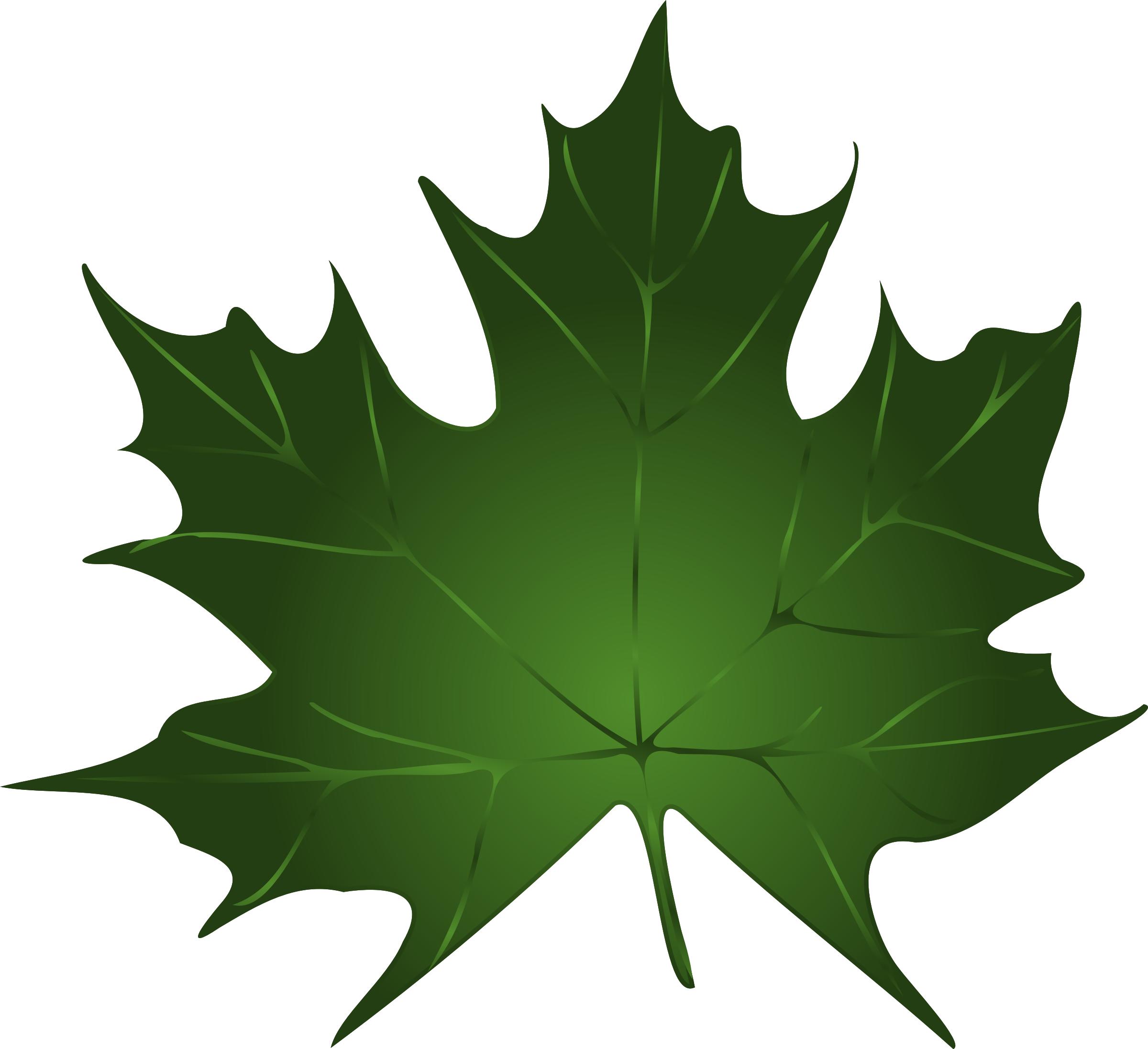 2400x2194 Lapas, Maple Leaf Icons Png
