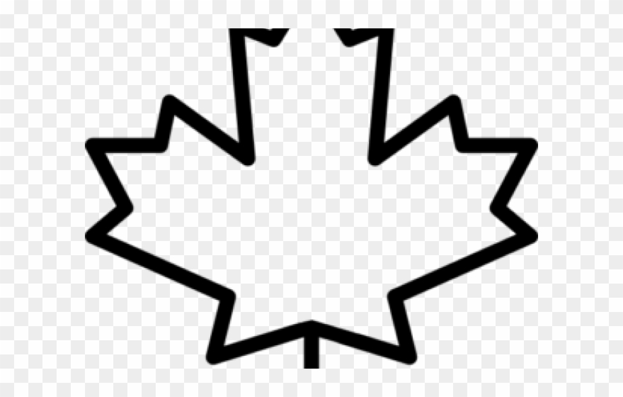 880x560 Maple Leaf Clipart Transparent Background