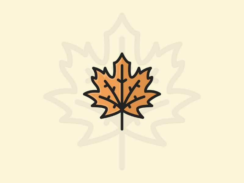 800x600 Maple Leaf Icon