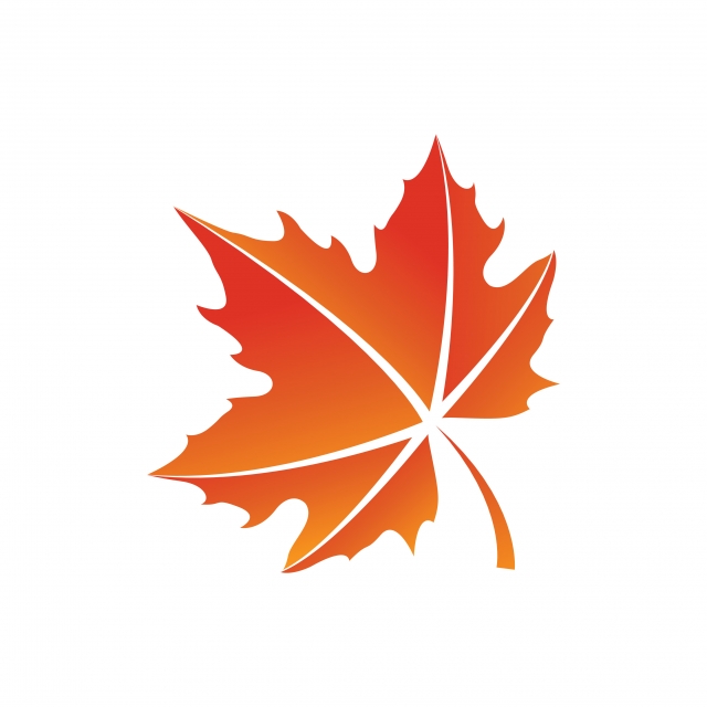 640x640 Maple Leaf Logo Icon Design Template Vector, Icon, Leaf, Vector
