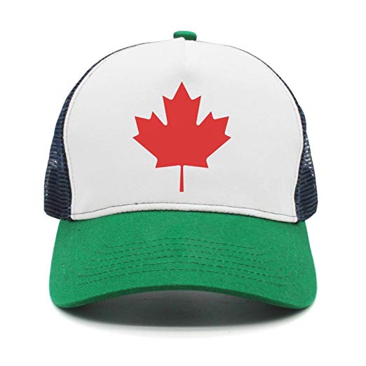 522x522 Ice Salt Canada Maple Leaf Icon Simple Upgrade