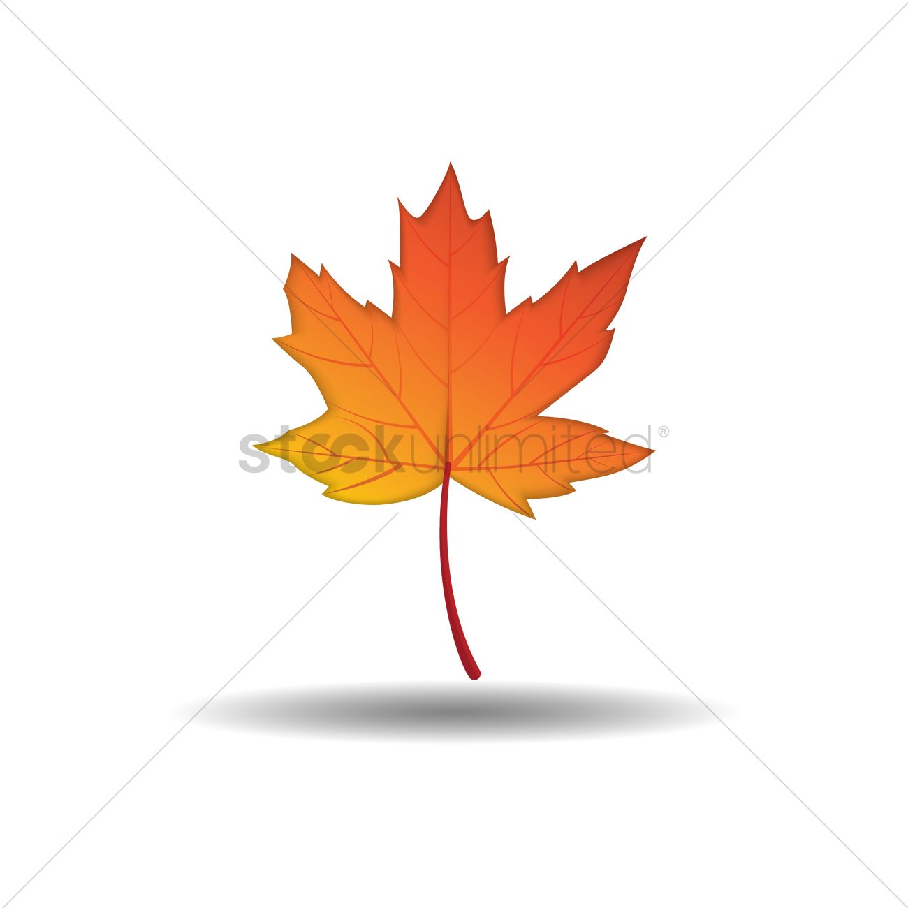 1300x1300 Maple Leaf Icon Vector Image