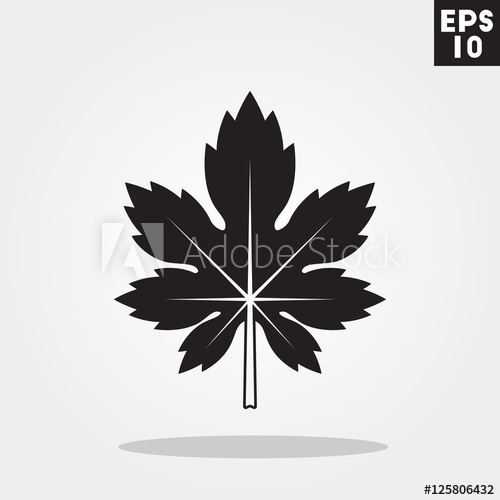500x500 Maple Leaf Icon In Trendy Flat Style Isolated On Color Background