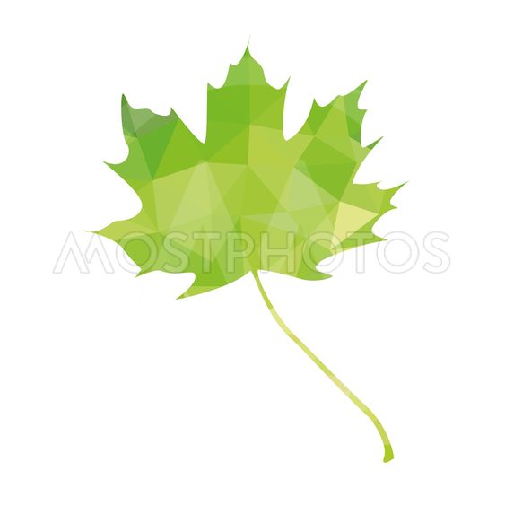 563x563 Maple Leaf Icon