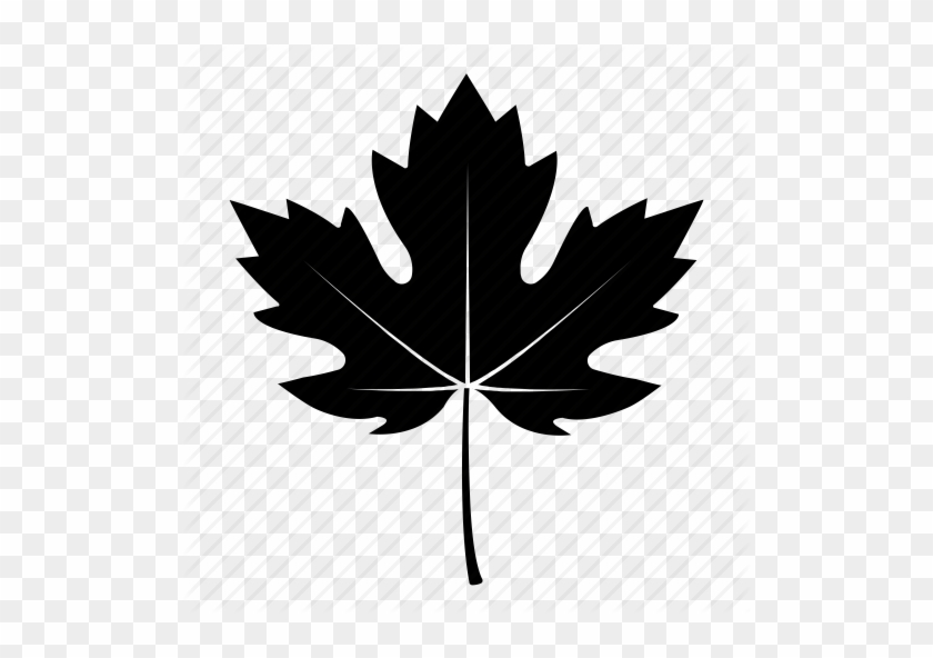 840x592 Black Fall Leaves Icon Image