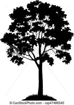 Maple Tree Icon