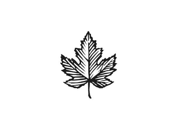 640x457 Maple Leaf Icon