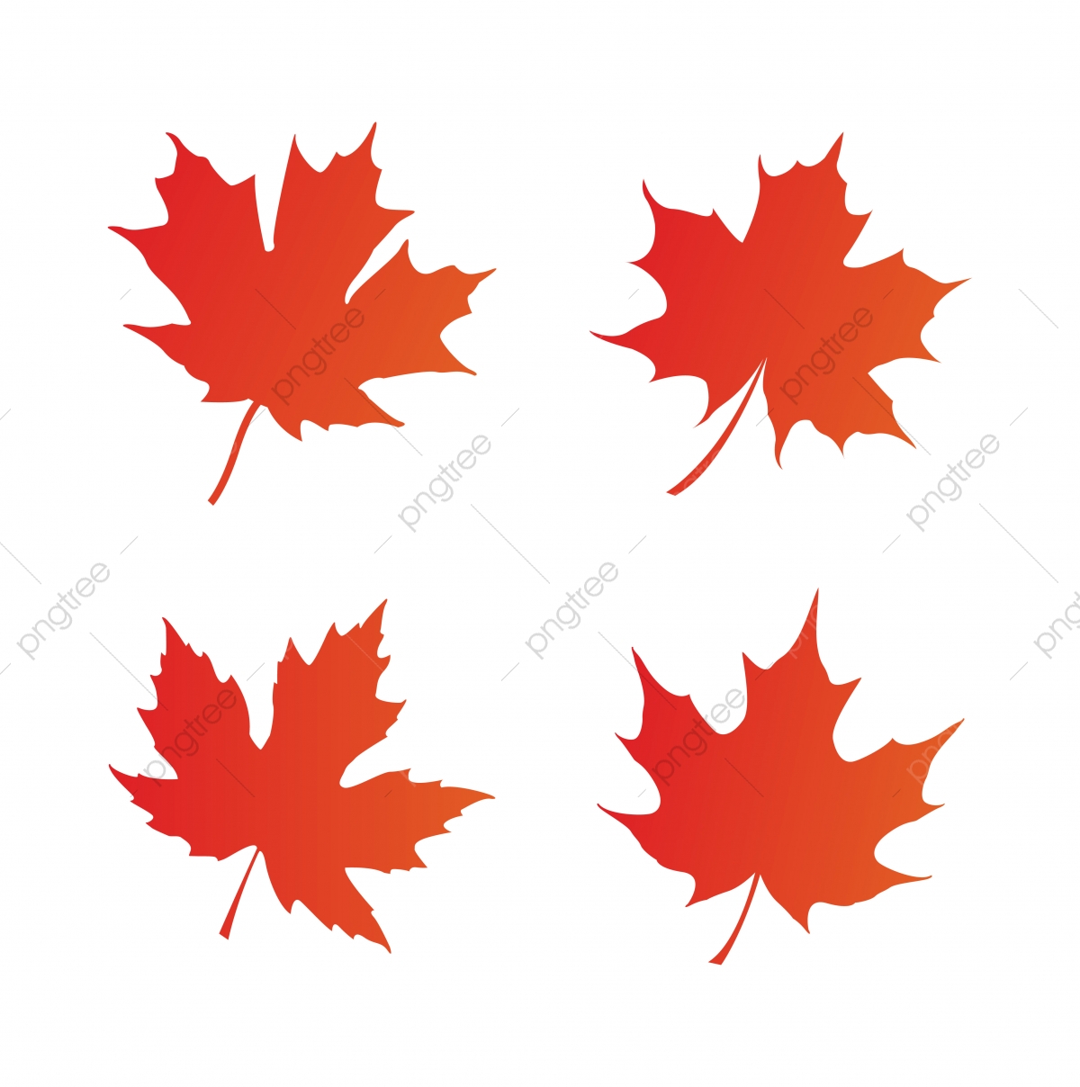 1200x1208 Maple Leaf Logo Icon Design Template Vector, Leaf, Icon, Symbol