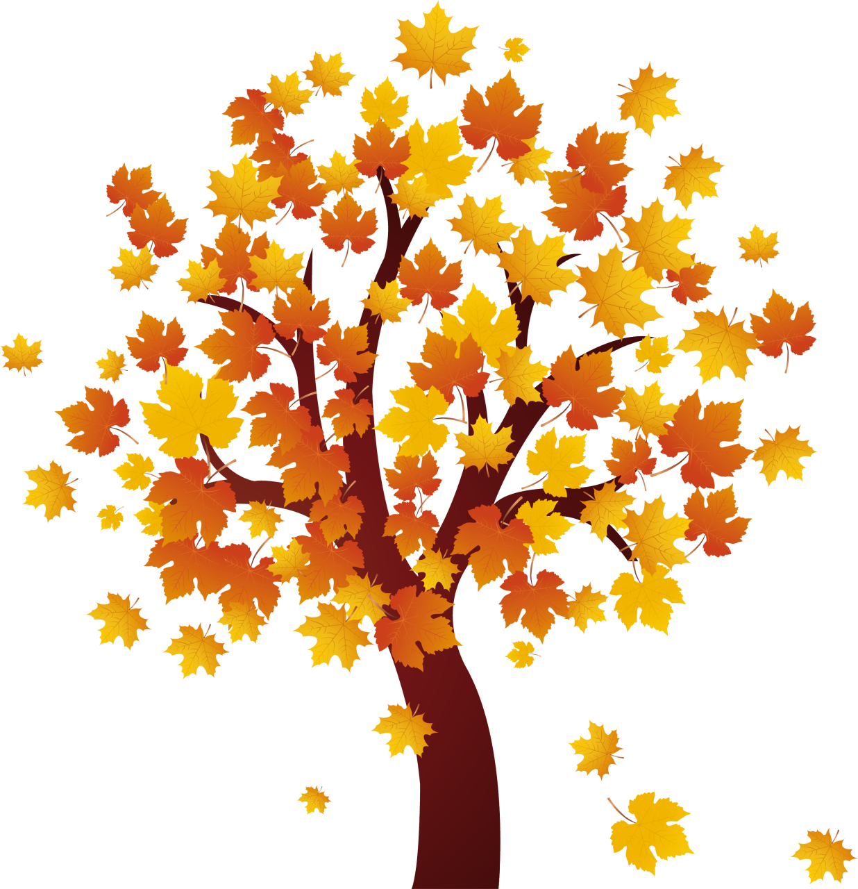 1236x1280 Fall Trees Clipart