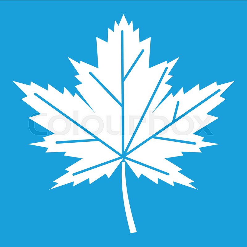 800x800 Maple Leaf Icon White Isolated On Blue Stock Vector Colourbox