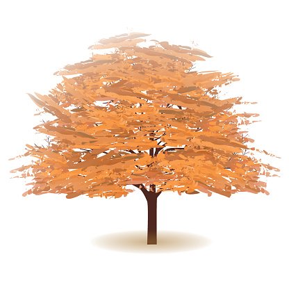 416x416 Autumn Leaves Fall Tree Icon Premium Clipart