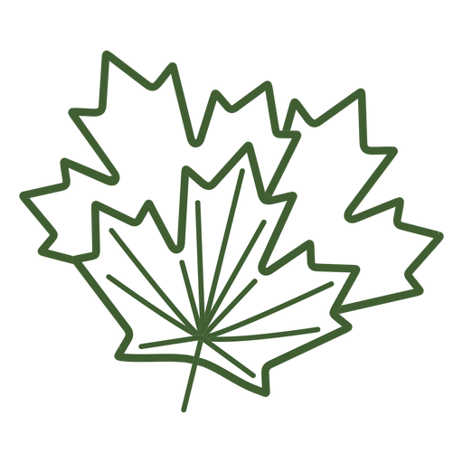 512x512 Maple Tree Leaf Icon