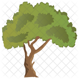 256x256 Paperbark Maple Tree Icon Of Flat Style