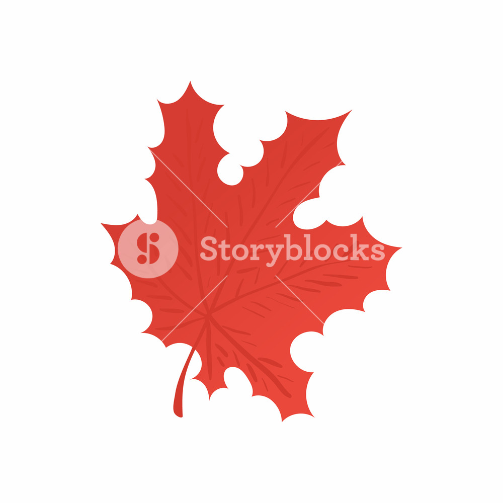 1000x1000 Red Maple Leaf Icon In Cartoon Style Isolated On White Background