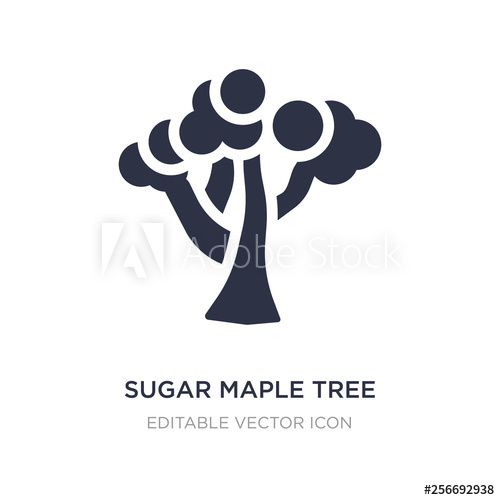500x500 Sugar Maple Tree Icon On White Background Simple Element
