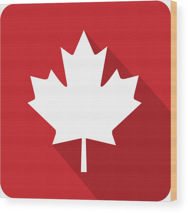 656x740 Canadian Maple Leaf Icon Silhouette Wood Print