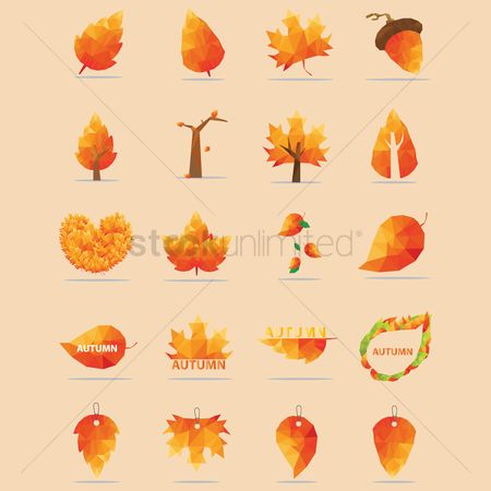 450x450 Free Maple Leaf Icon Stock Vectors Stockunlimited