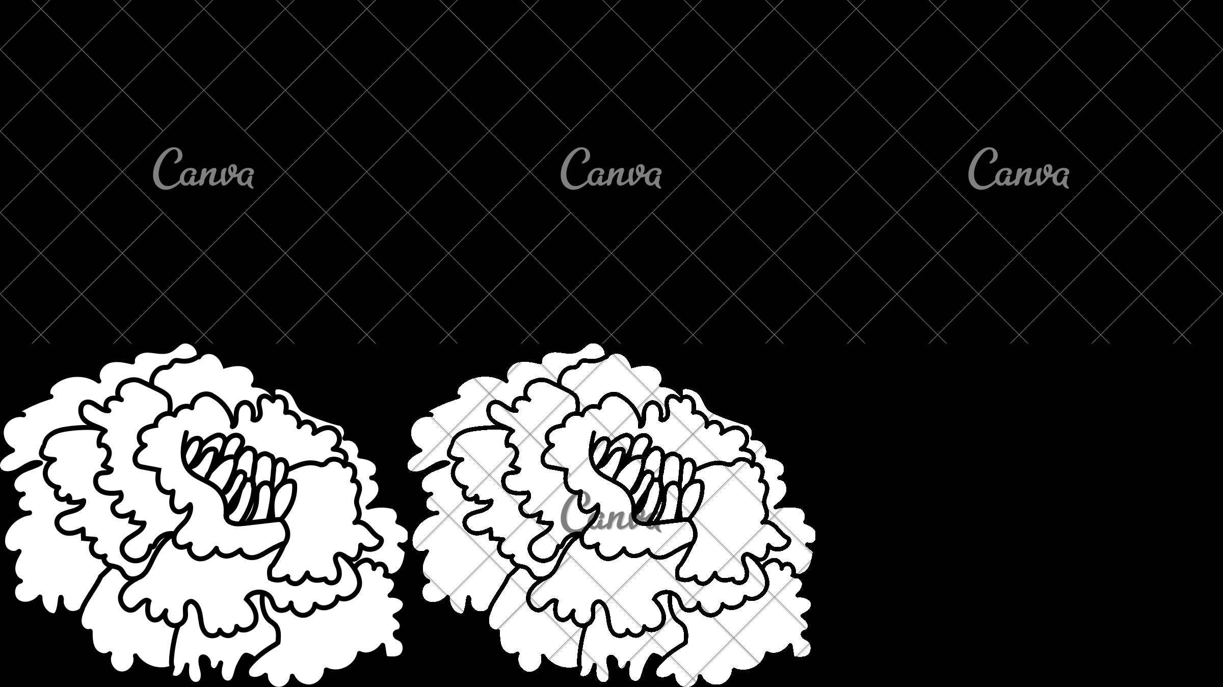 2400x1348 Marigold Flower Icon