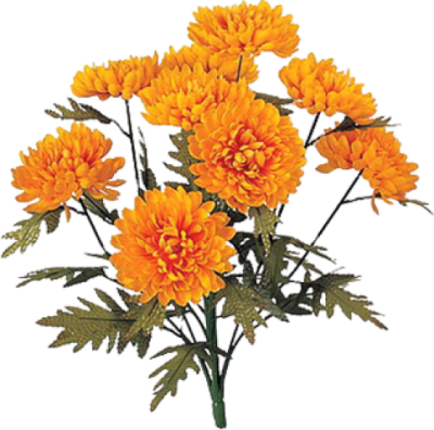 400x396 Marigold Icon Clipart