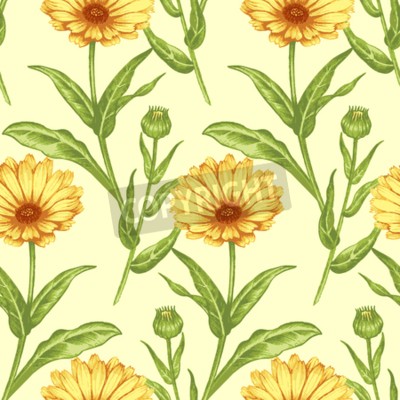 400x400 Icons Website Search Over Icons Icon